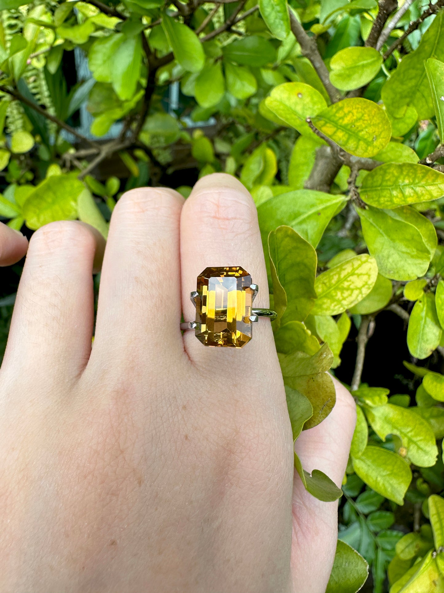 Natural Yellow Ochre Citrine | 6.58 Carats